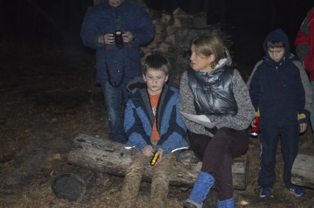 Christmas in the Woods