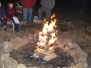 Christmas in the Woods