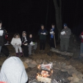 Christmas in the Woods