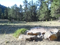 davidphimontphotos-001